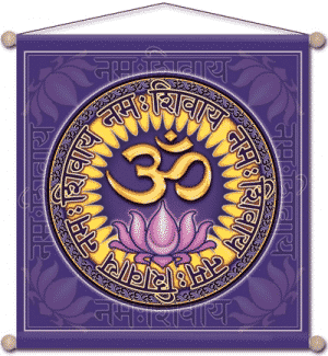 Meditatie Banner Om Namo Shiva