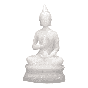 Boeddha + Amrita Vaas (16 cm)