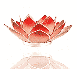 Lotus Sfeerlicht Roze-Rood Zilverrand