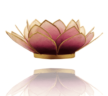 Lotus Sfeerlicht Violet Goudrand