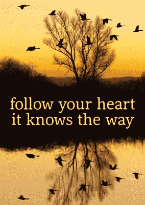 Ansichtkaarten Follow your Heart