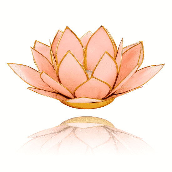 Lotus Sfeerlicht Pastel Roze Goudrand