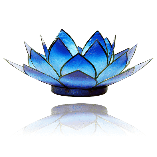 Lotus Sfeerlicht Blauw Tweekleurig