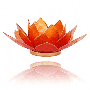 Lotus Sfeerlicht Roze-Oranje Tweekleurig