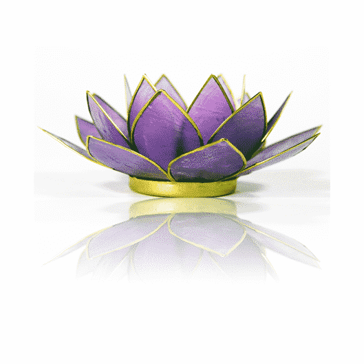 Lotus Sfeerlicht Lila Goudrand