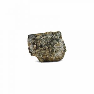 Ruwe Agaat Turritella Edelsteen 3-10 cm (1 kg)