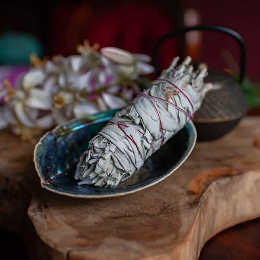 abalone schelp met witte salie smudge stick spirituele schelpen