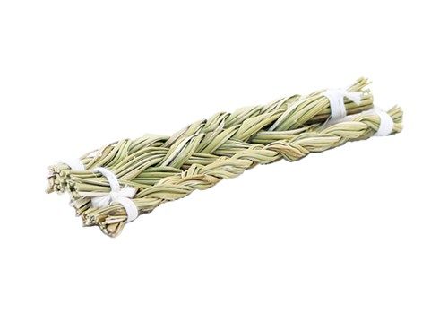 Sweetgrass (10 cm) Kopen - Spiru