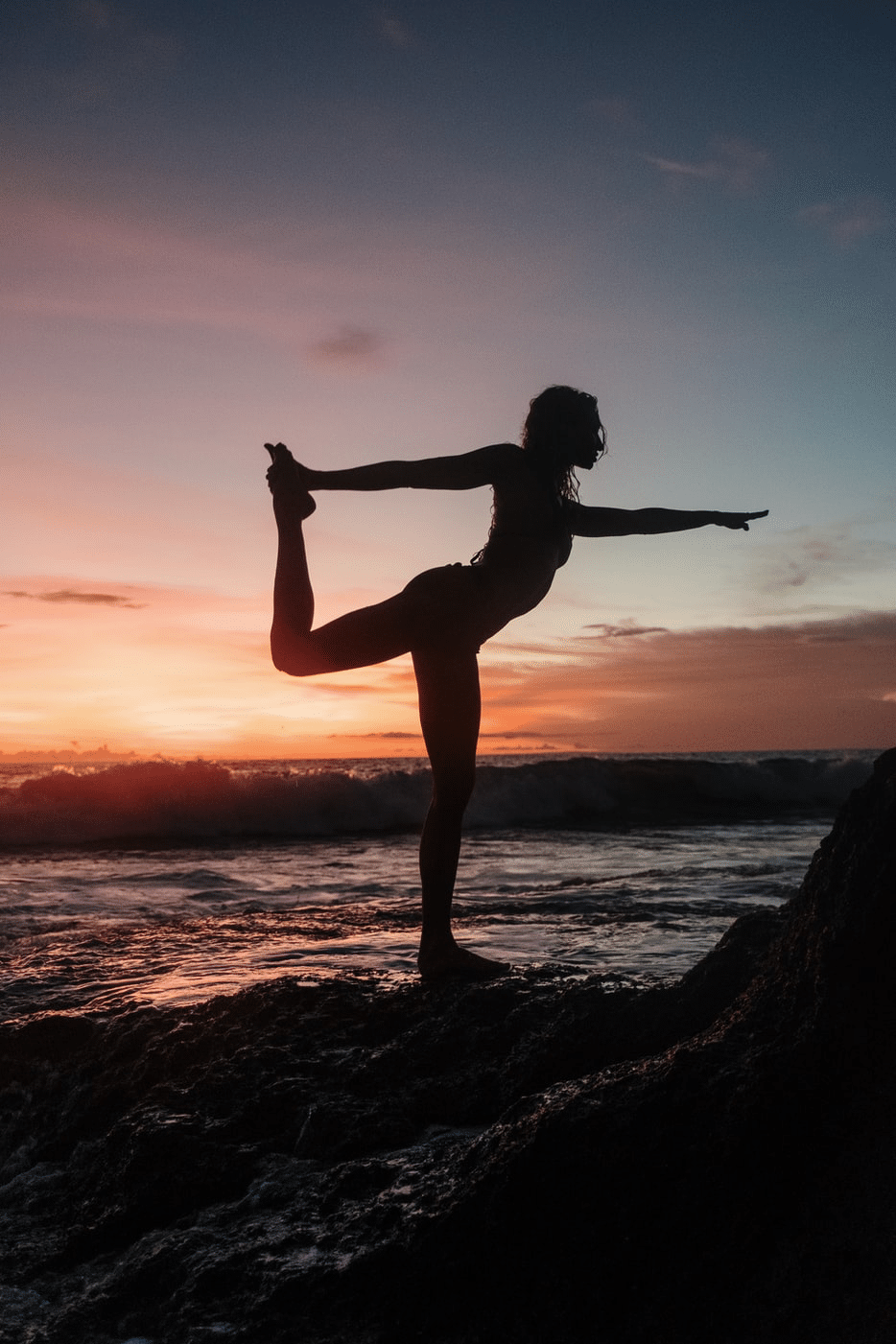 yogi bij zonsondergang