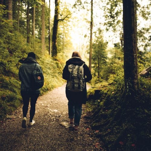 twee mensen wandelen in bos