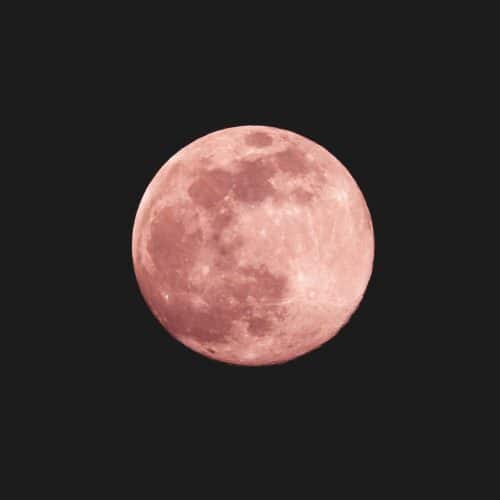 Roze Maan – Loslaten in de Lente