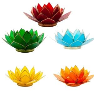 Lotus Sfeerlichten met Vrolijke Kleuren (Luxe) - Bundel