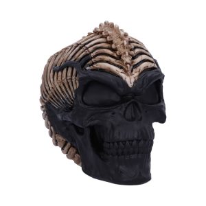 Nemesis Now - Spine Head Skull (JR) 18.5cm