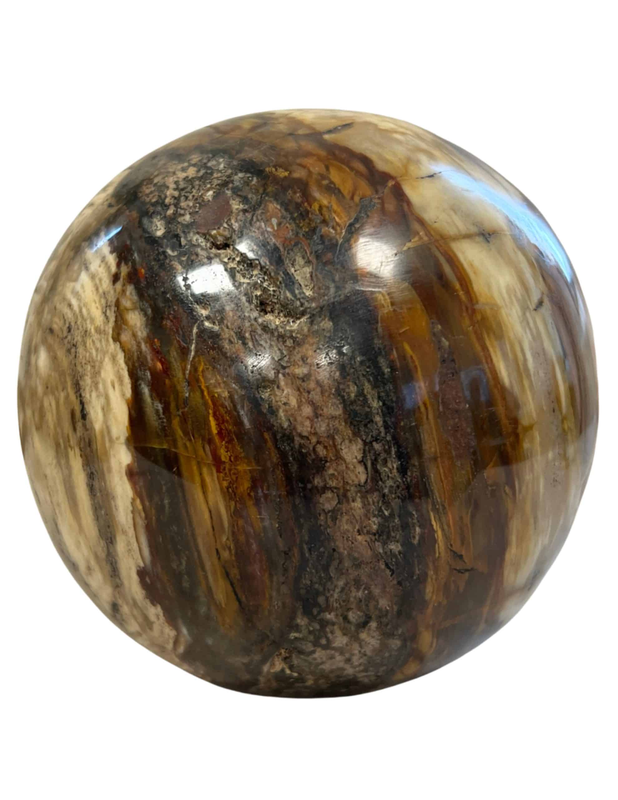 Versteend hout bol Madagaskar 2248 gram edelsteen decoratie